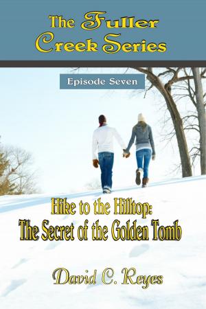 Book cover of The Fuller Creek Series