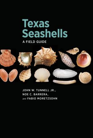 Book cover of Texas Seashells
