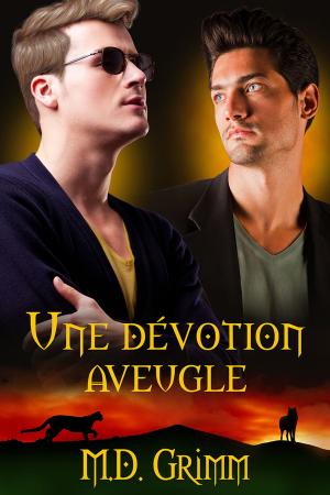 Cover of the book Une dévotion aveugle by Ariel Tachna