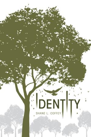 Cover of the book Identity by Catherine DePino