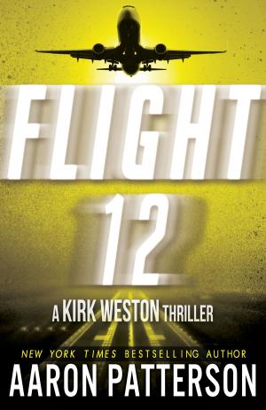 Cover of the book Flight 12 by Rob E. Boley