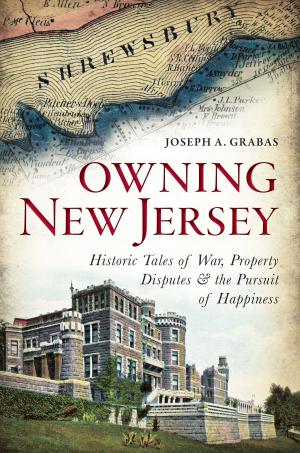 Cover of the book Owning New Jersey by Amber Beierle, Ashley Phillips, Hanako Wakatsuki