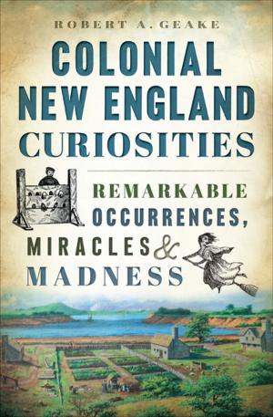 Cover of the book Colonial New England Curiosities by Hector Z. Gregory