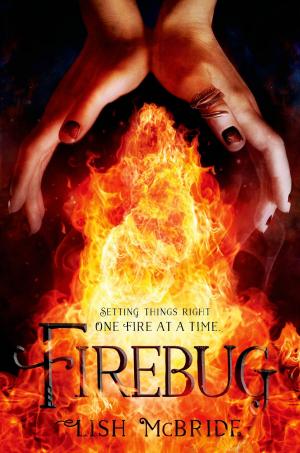 Cover of the book Firebug by Anna Staniszewski