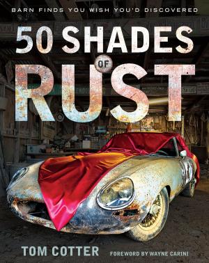 bigCover of the book 50 Shades of Rust by 