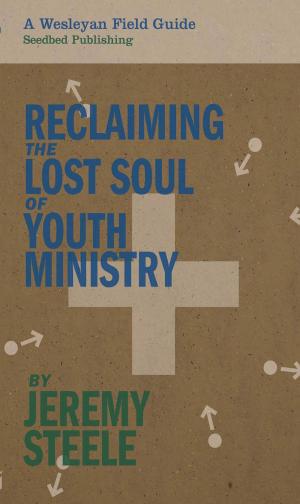 Cover of the book Reclaiming the Lost Soul of Youth Ministry by Stephen D. Elliott