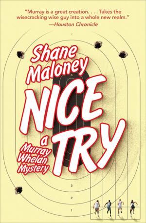 bigCover of the book Nice Try by 