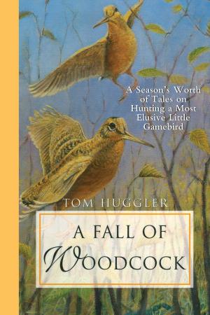 bigCover of the book A Fall of Woodcock by 