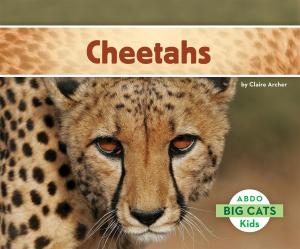 Book cover of Cheetahs
