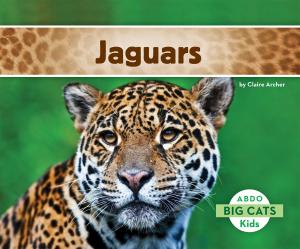 Cover of the book Jaguars by Nico Barnes