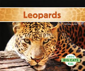 Book cover of Leopards