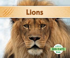 Cover of the book Lions by Lisa Mullarkey; John Mullarkey