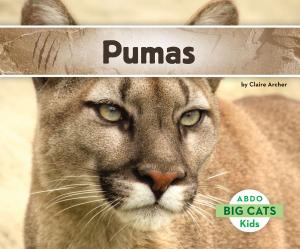 Cover of the book Pumas by Teddy Borth