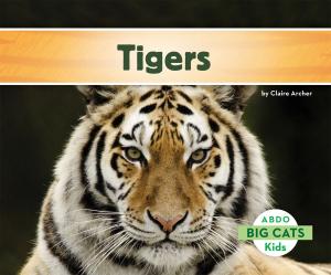 Cover of the book Tigers by Rich Wallace