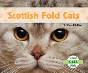 bigCover of the book Scottish Fold Cats by 