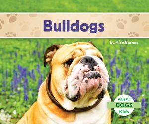 Cover of the book Bulldogs by Claire Archer