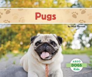 Cover of the book Pugs by Lisa Mullarkey; John Mullarkey