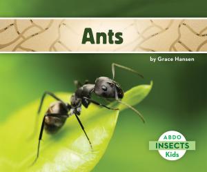 Cover of the book Ants by Owen B. Greenwald