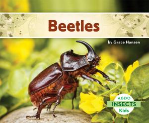 Cover of the book Beetles by Grace Hansen