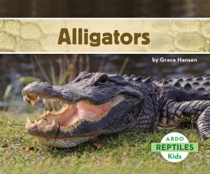 Cover of the book Alligators by Grace Hansen