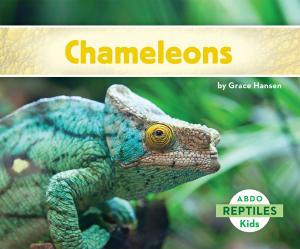 bigCover of the book Chameleons by 