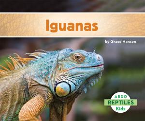 Cover of the book Iguanas by Sam Moussavi