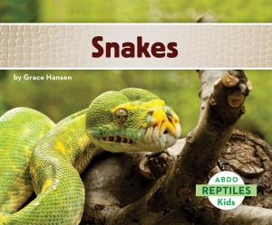 Cover of the book Snakes by Rich Wallace