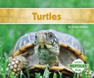 Cover of the book Turtles by Lisa Mullarkey; John Mullarkey