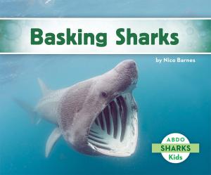 Cover of the book Basking Sharks by Julie Murray