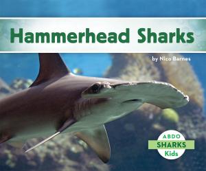 Cover of the book Hammerhead Sharks by Corey O’Neill