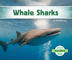 Cover of the book Whale Sharks by Clancy Teitelbaum