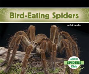 Cover of the book Bird-Eating Spiders by Dotti Enderle