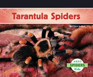 Cover of the book Tarantula Spiders by Julie Murray