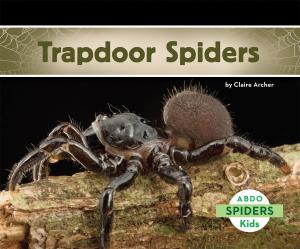 Book cover of Trapdoor Spiders