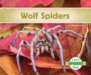 Cover of the book Wolf Spiders by Claudia Harrington