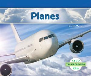 Cover of the book Planes by Nicole M. Taylor