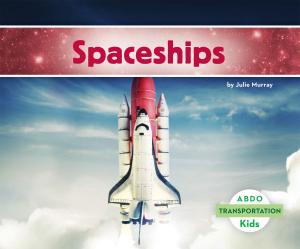 Book cover of Spaceships