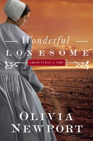 Cover of the book Wonderful Lonesome by Pamela L. McQuade