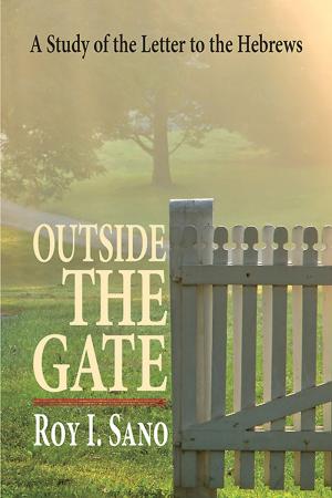 Cover of the book Outside the Gate by Lisa Nichols Hickman