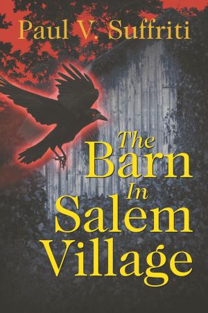 Cover of the book The Barn In Salem Village by Dr. Bita