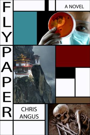 Cover of the book Flypaper by James Bannerman