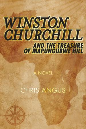 Cover of the book Winston Churchill and the Treasure of Mapungubwe Hill by Roger Stone