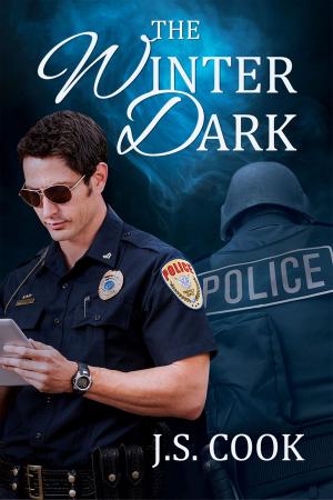 bigCover of the book The Winter Dark by 