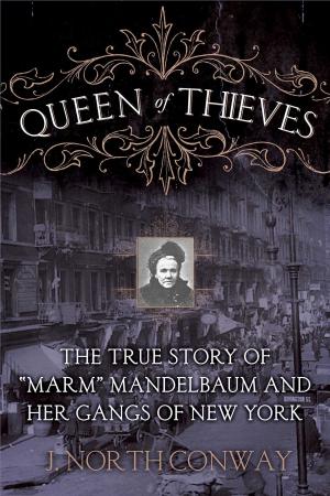 Cover of the book Queen of Thieves by Toni Rodríguez