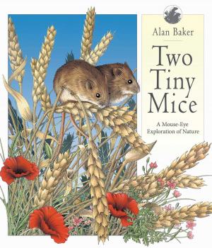 Cover of the book Two Tiny Mice by Richard Fairgray