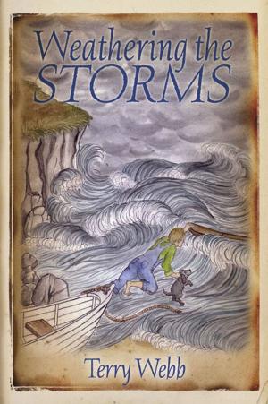Cover of the book Weathering the Storms by Brian Foutz, Leah Foutz