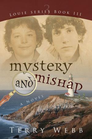 Cover of the book Mystery and Mishap by Lillian Ann Penner