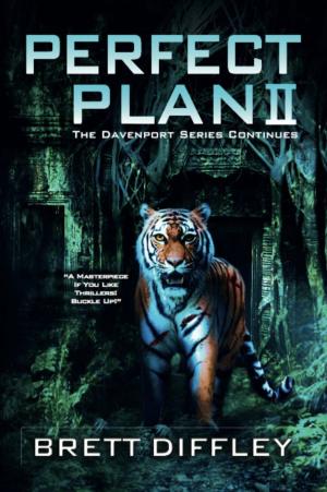 Cover of the book Perfect Plan II by Jeff Warren