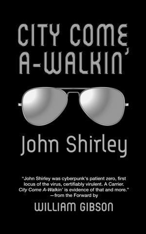 Cover of the book City Come A-Walkin' by 