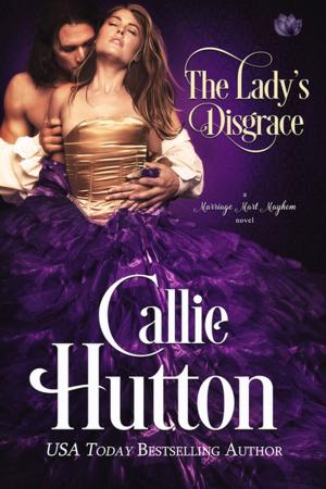 Cover of the book The Lady's Disgrace by Angie Morgan, Amalie Howard